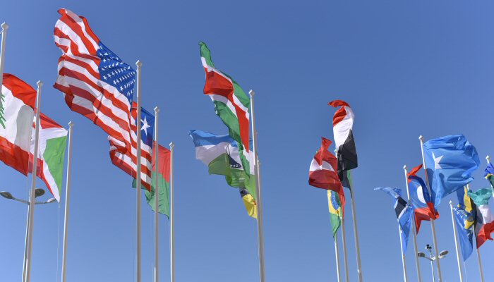 international flags
